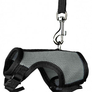 The Perfect Small Pet Adjustable Walking Leash
