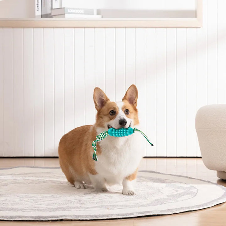 Interactive Pet Toothbrush Corn Chew Toy Dental Cleaner