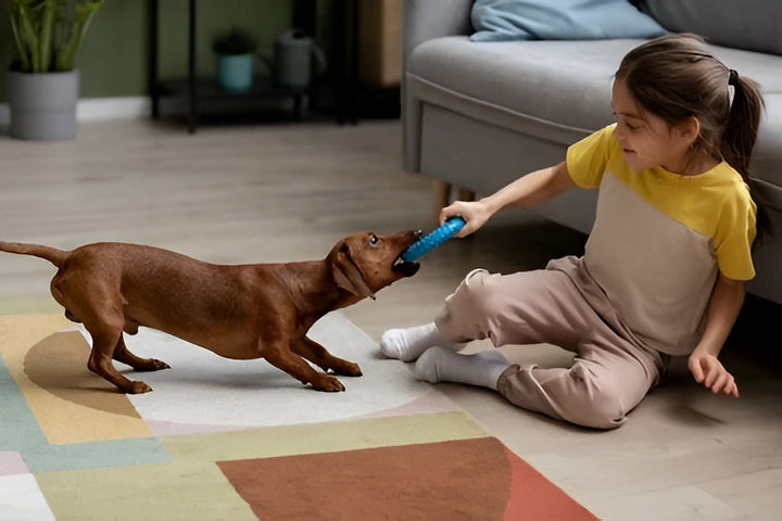 The Importance of Interactive Pet Toys